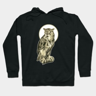 owl on the tree Hoodie